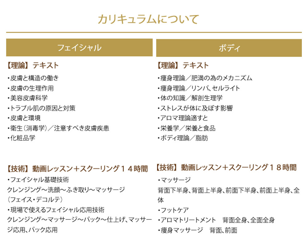 カリキュラムについて
