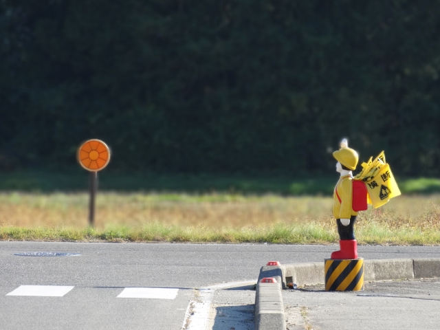 【理由３：生きる力アップ】手に職を持つことで開かれる新しい道